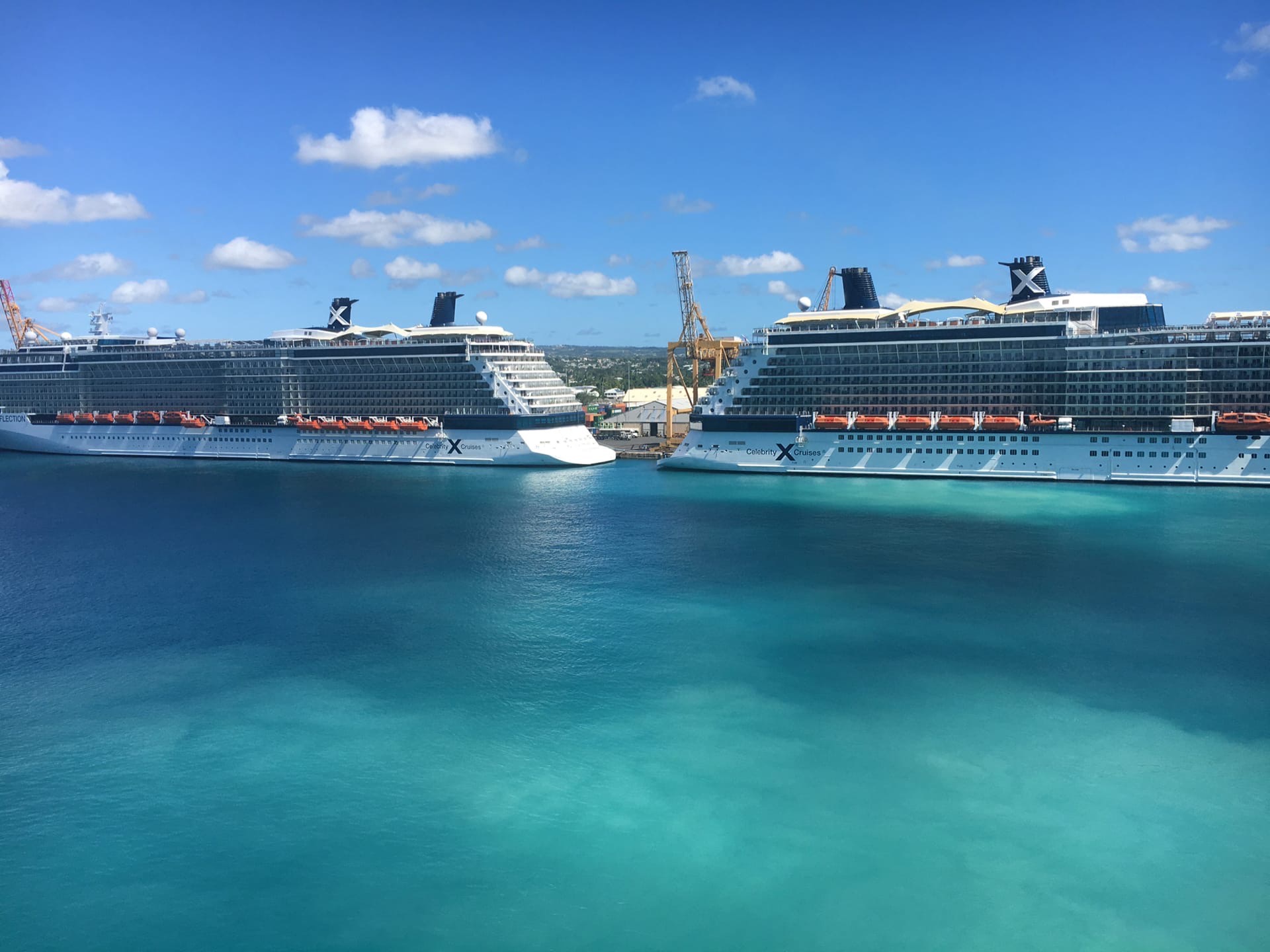 Celebrity Reflection