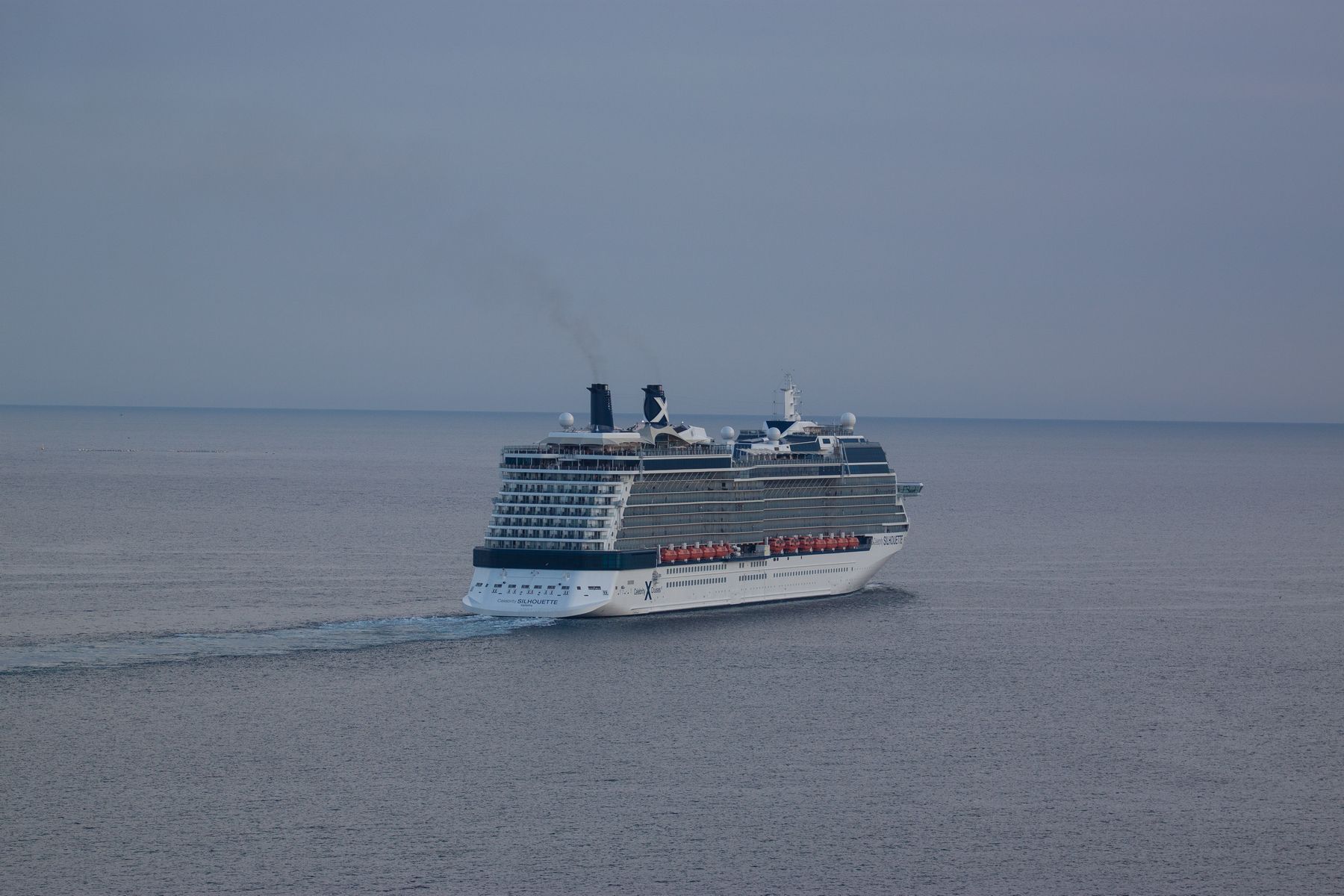 Celebrity Silhouette