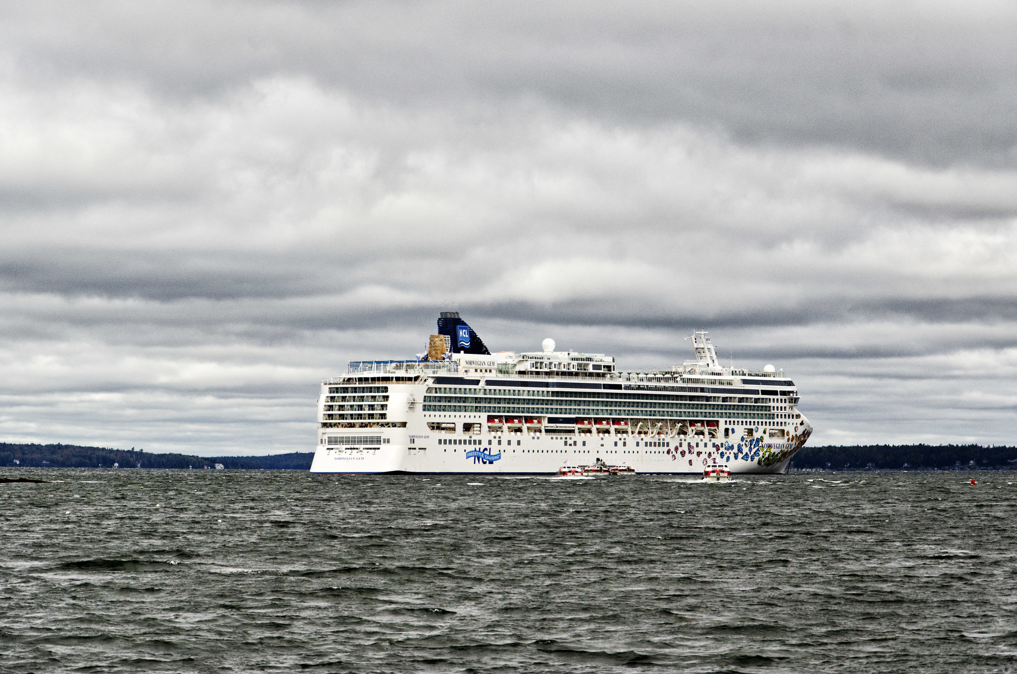 Norwegian Gem