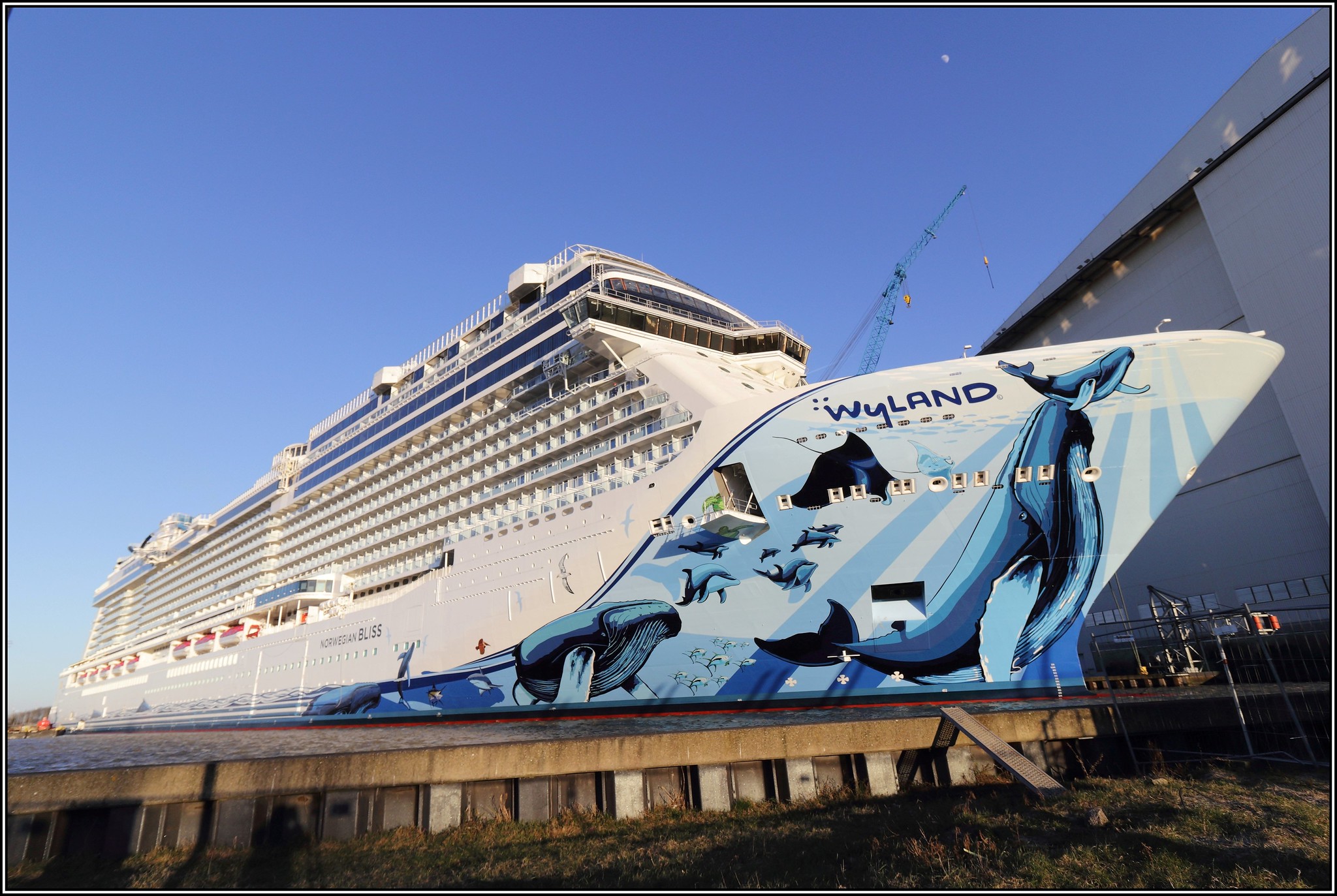 Norwegian Bliss