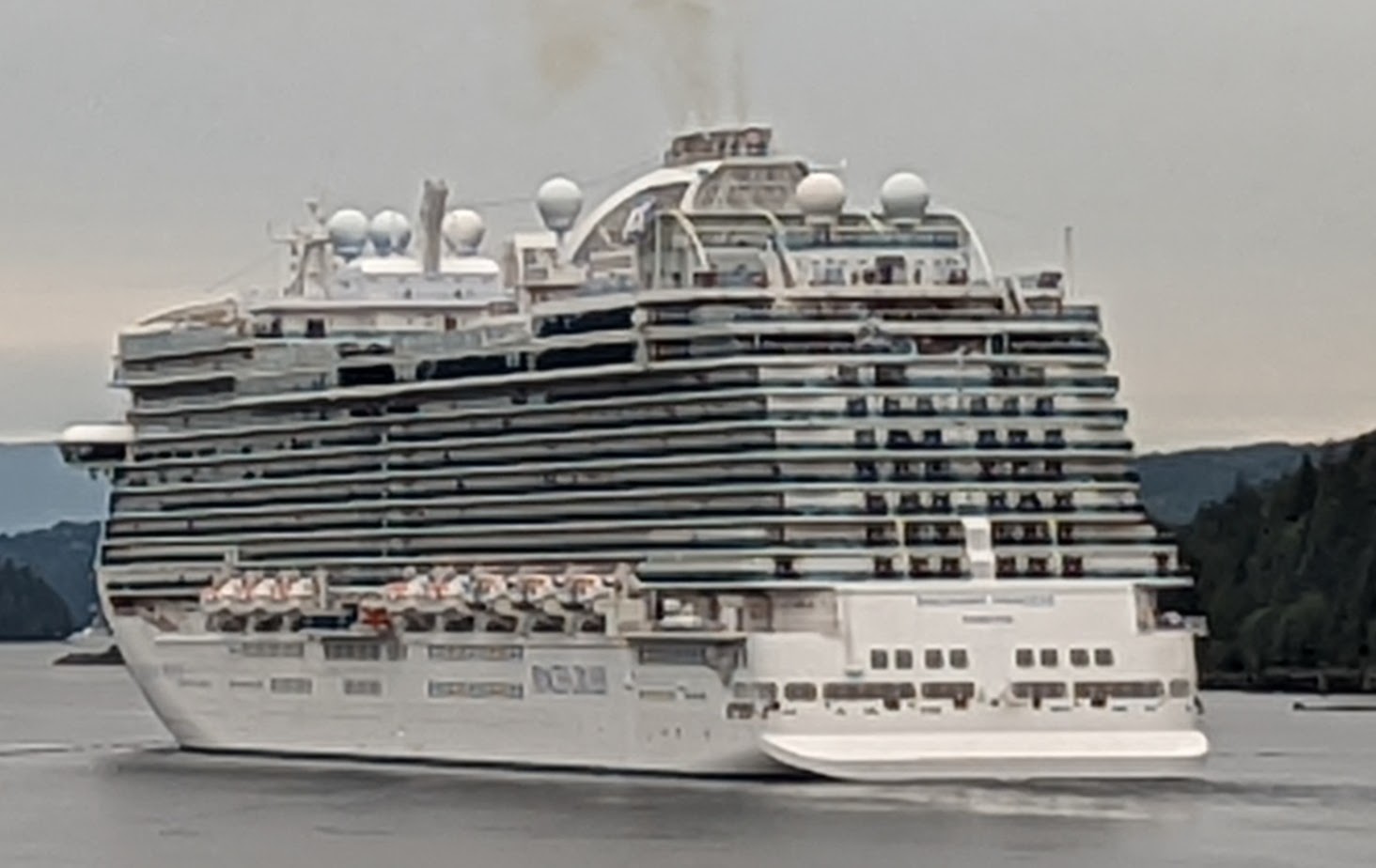 Discovery Princess
