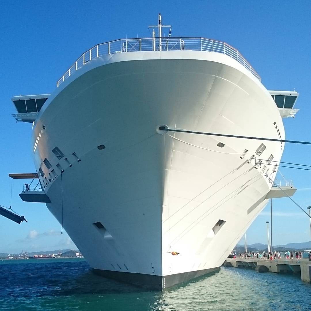 Celebrity Reflection