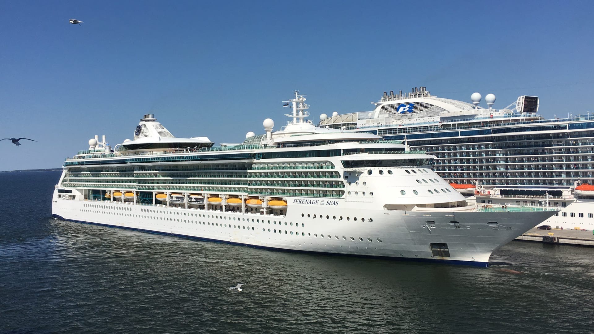 Serenade of the Seas