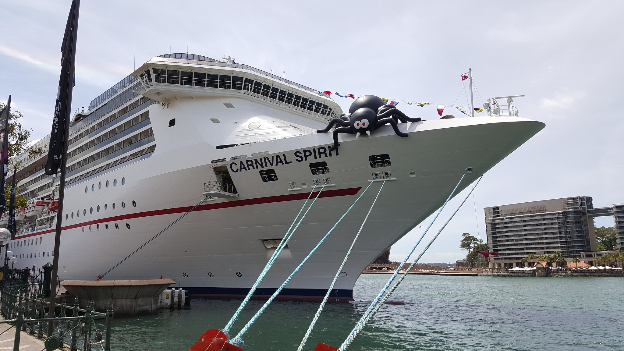 Carnival Spirit