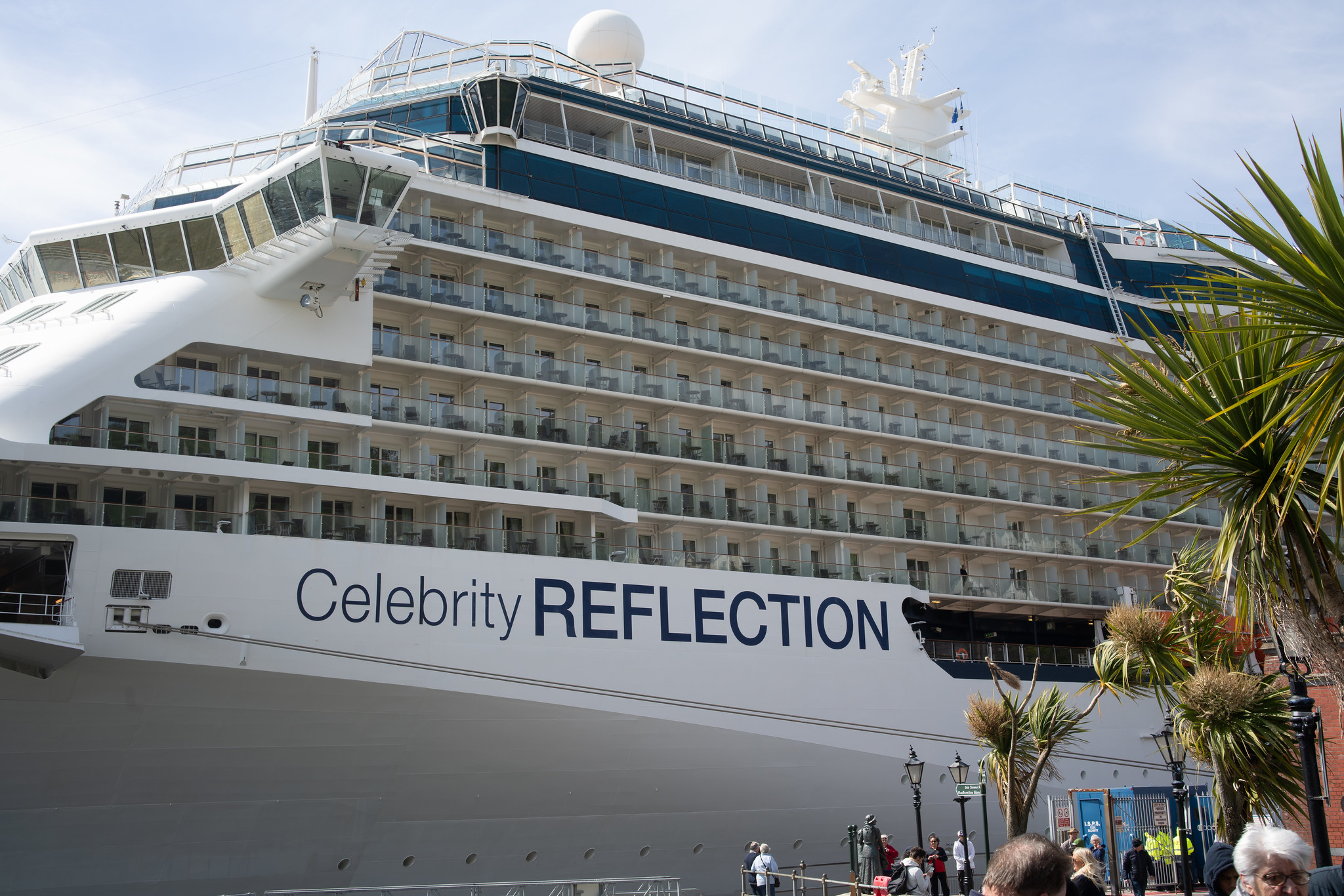 Celebrity Reflection