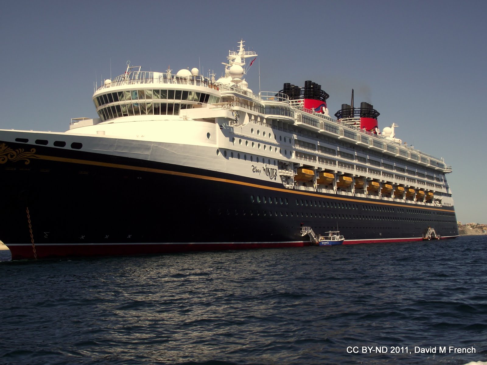 Disney Wonder