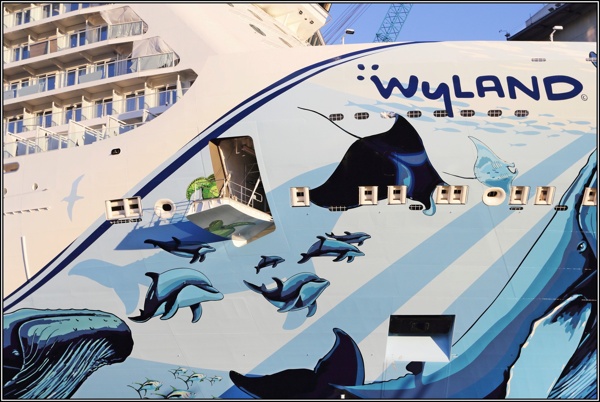 Norwegian Bliss