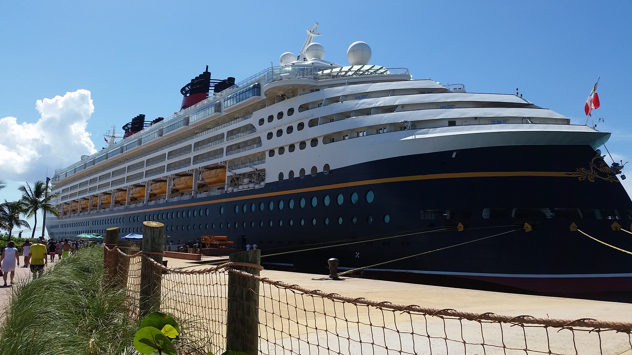 Disney Wonder